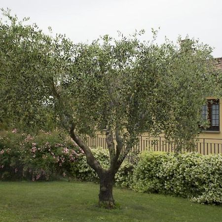 Agriturismo Scuderie Della Contea Sutri Bagian luar foto