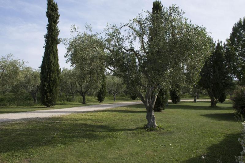 Agriturismo Scuderie Della Contea Sutri Bagian luar foto