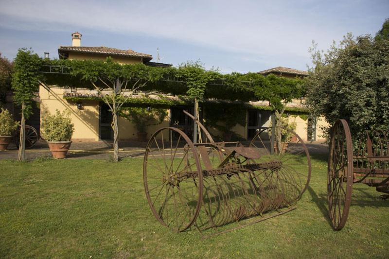 Agriturismo Scuderie Della Contea Sutri Bagian luar foto